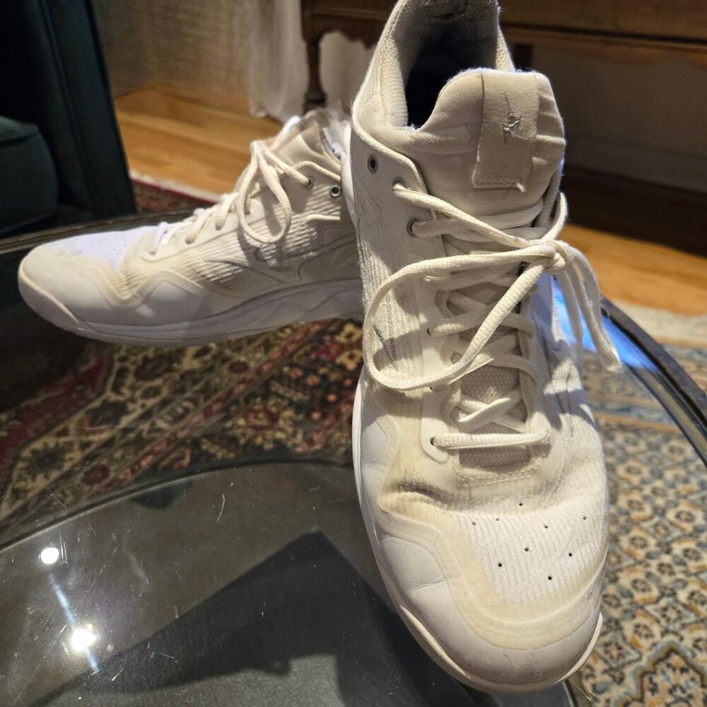 Mizuno wave volleyball shoes
